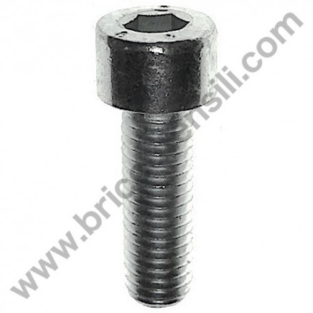 Vite TCCE ZN M8X25 Sx Bloccaggio Disco per Troncatrici XXX - XXX Alu