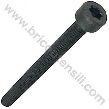 Muffler Screw Tx M5x55 for Hedgecutter Alpina HTJ 550