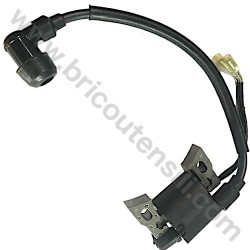 Electronic Coil for Pressure Washer Lavor Independent 1900