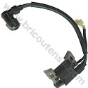 Electronic Coil for Pressure Washer Lavor Independent 1900