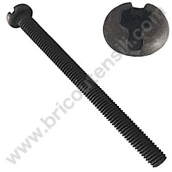 Vite TC M5x55 per Carburartore Tagliasiepi Alpina HTJ 550