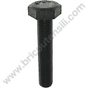 Blade Special Bolt for Self-Propelled Lawnmower AMA LT 52