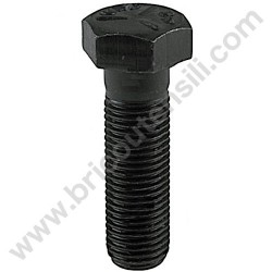 Blade Special Bolt D. 3/8" - 24 - mm 50.8 for Lawnmower AMA