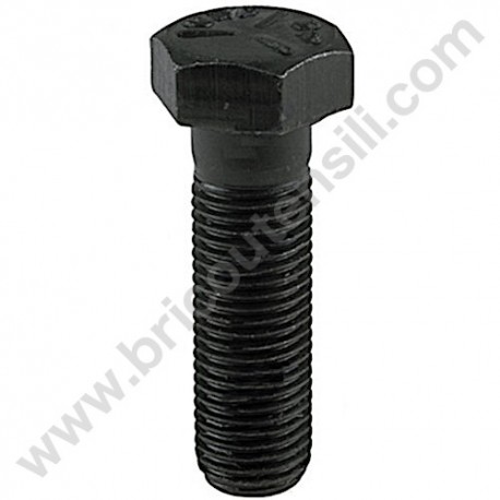 Blade Special Bolt D. 3/8" - 2'3/4' - mm 68.5 for Lawnmower AMA