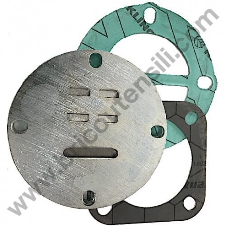 Valves Plate Kit for Puming Units Fiac GM 191