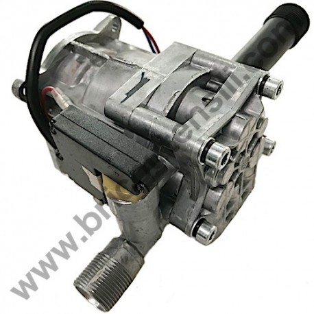 Pompa Completa (P11) per Idropulitrice Hitachi AW100