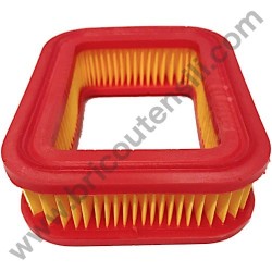 Air Filter for Petrol Engine Alpina RSC 100 OHV - 1