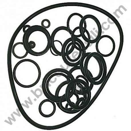 Kit Gaskets OR for Pressure Washers AR Blue Clean 737-747