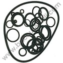 Kit Gaskets OR for Pressure Washers AR Blue Clean 737-747