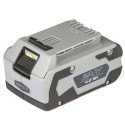 Batteria Originale Alpina Agli Ioni di Litio 24V - 4.0 Ah
