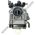 Carburator for Brushcutter Green Line Papillon DG 43N