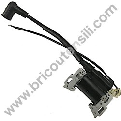 Ignition Coil Ass'y for Engines Alpina M150 - SV150