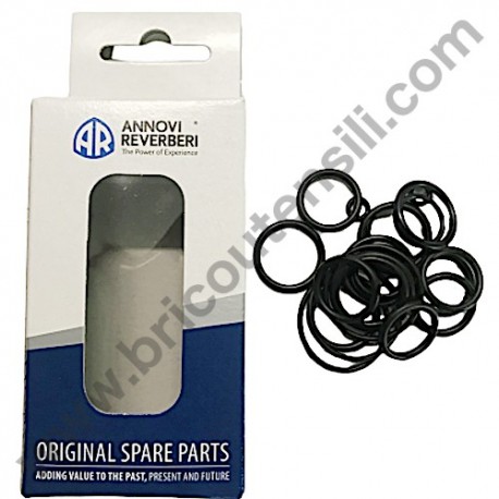 Kit Guarnizioni per Idropulitrice ARSG Proliner SV 1310 TSS
