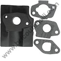 Assieme Guarnizioni Carburatore per Motore Alpina RSC 100 OHV