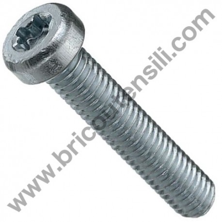 Carburator Torx Screw M5x55 Brushcutters Alpina