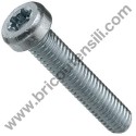 Carburator Torx Screw M5x55 Brushcutters Alpina