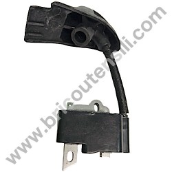 Bobina Elettronica per Soffiatore Alpina ABL 27 - 1