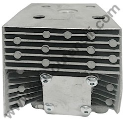 Cylinder for Backpack Mist Duster AMA ATO-380