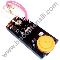 Electronic Board for Scouring Machine Rurmec RL80