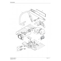 Ricambi Alpina per Motosega P 522 S