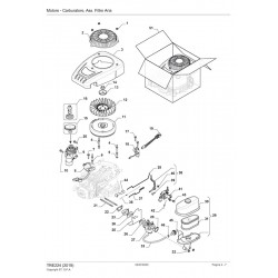 Ricambi Alpina per Motore ST. S.P.A. TRE224 (2019)