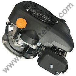 Motore ST. S.P.A. con Avviamento Elettrico Modello TRE224 - 2