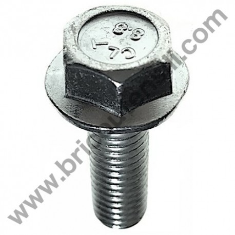 M8X25/8.8 Engine Bolt for Lawnmowers AMA