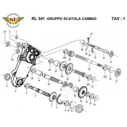 Ricambi Meccanica Benassi per Motozappatrice RL 341 10-2012
