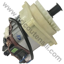 Motor for Shredder Alpina CH 2.2 E