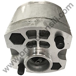 Hydraulic Pump for Hydraulic Log SplitterAMA GRAND YAK - 3