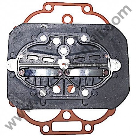 Valves Plate Kit for Pumping Units FIAC AB 245-335