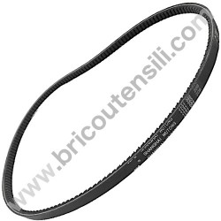 Cinghia Avanzamento per Motozappatrice Mec. Benassi RL 45