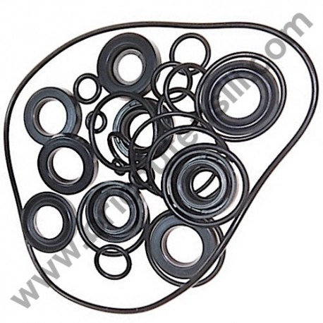 Water Seals S.202 VE for Pressure Washers AR Farmer's Extreme