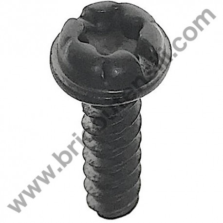 Screw TX 5X18 TB Flanged for Chainsaws Alpina