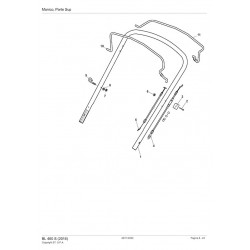 Ricambi Alpina per Rasaerba a Scoppio BL 460 S
