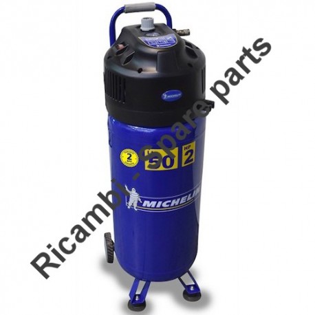 Michelin Spare Parts for Air Compressor MVX50