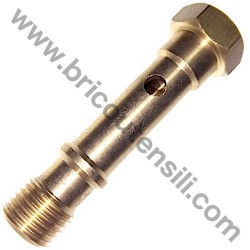 Screw 1/4"G ECUII for Compressor Fiac LEONARDO HP 1