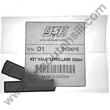 Flap Valves Kit 10 pcs for Puming Units Fiac VX-GM