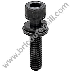 Screw TCCE M6X25 for Chainsaw - Brushcutters Alpina