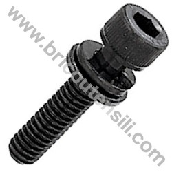Screw TCCE M6X25 for Chainsaw - Brushcutters Alpina