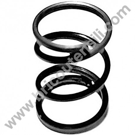 Molla Perno Bloccaggio Braccio per Troncatrice Compa 250-300E.T.