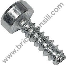 Self-Tap Screw 4.8x16 for Chainsaw Alpina AC 46