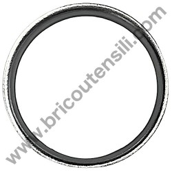 Gasket Ring for Chainsaw Alpina AC 46