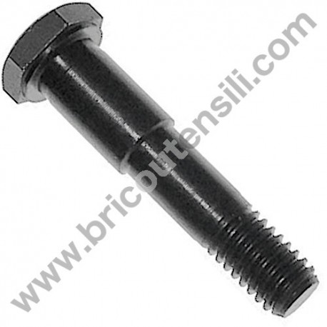 Screw Locking Bearing for Band Saw Femi NG120