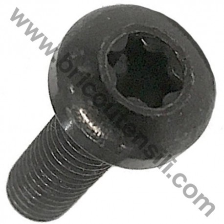 Screw TCB Torx M6x20 for Lawnmower Cutting Height Adjustment