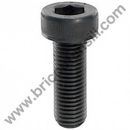 Screw M5x25 for Brushcutter Hitachi Tanaka CG40EAS