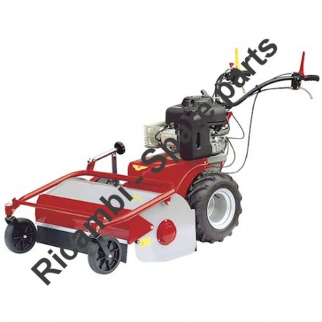 Ricambi Meccanica Benassi per Trinciasarmenti TR 80 Special