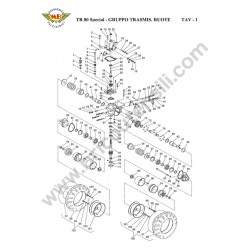 Ricambi Meccanica Benassi per Trinciasarmenti TR 80 Special