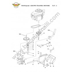 Ricambi Meccanica Benassi per Trinciasarmenti TR 80 Special