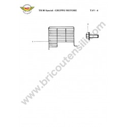 Ricambi Meccanica Benassi per Trinciasarmenti TR 80 Special